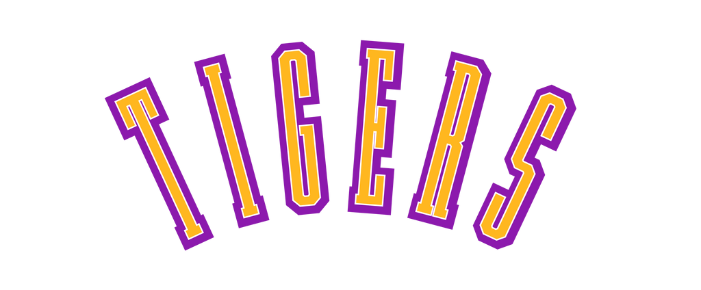 SCHOOL SPIRIT WEAR-PURPLE AND GOLD