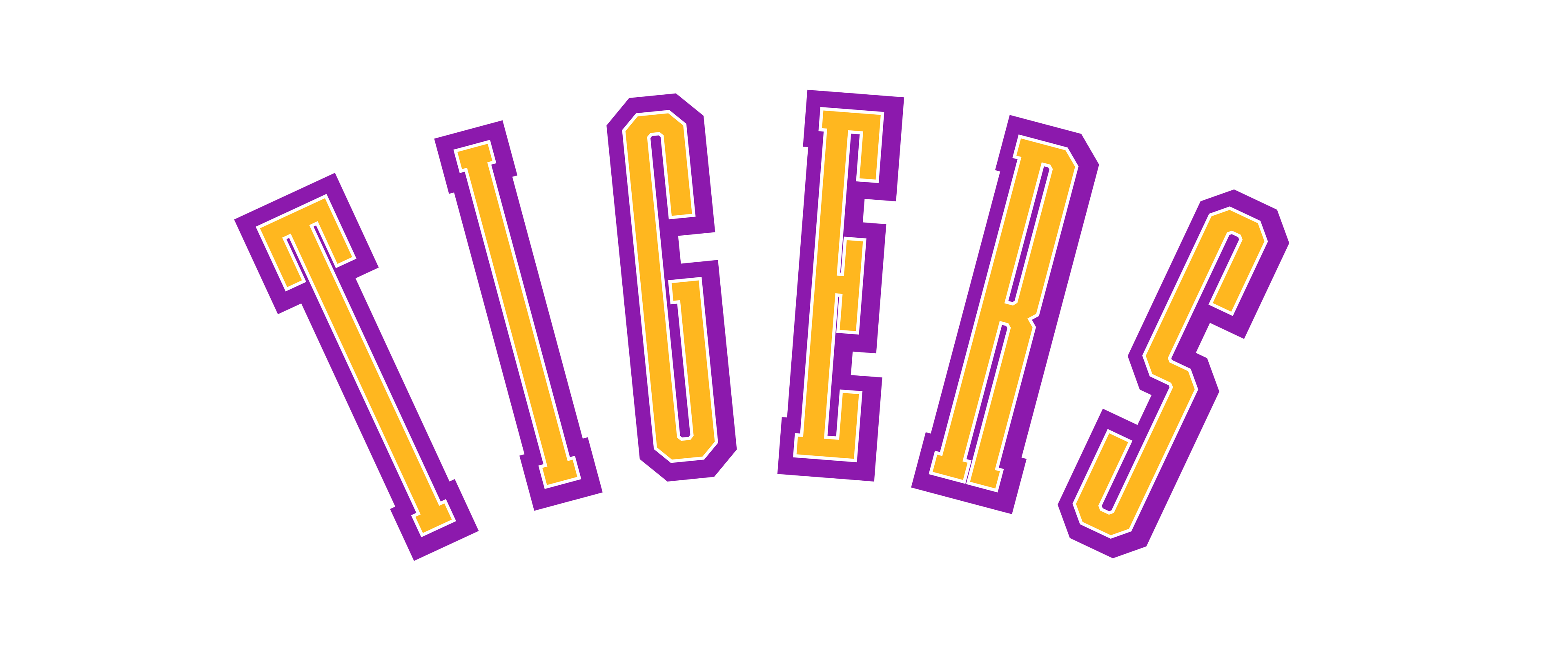 SCHOOL SPIRIT WEAR-PURPLE AND GOLD