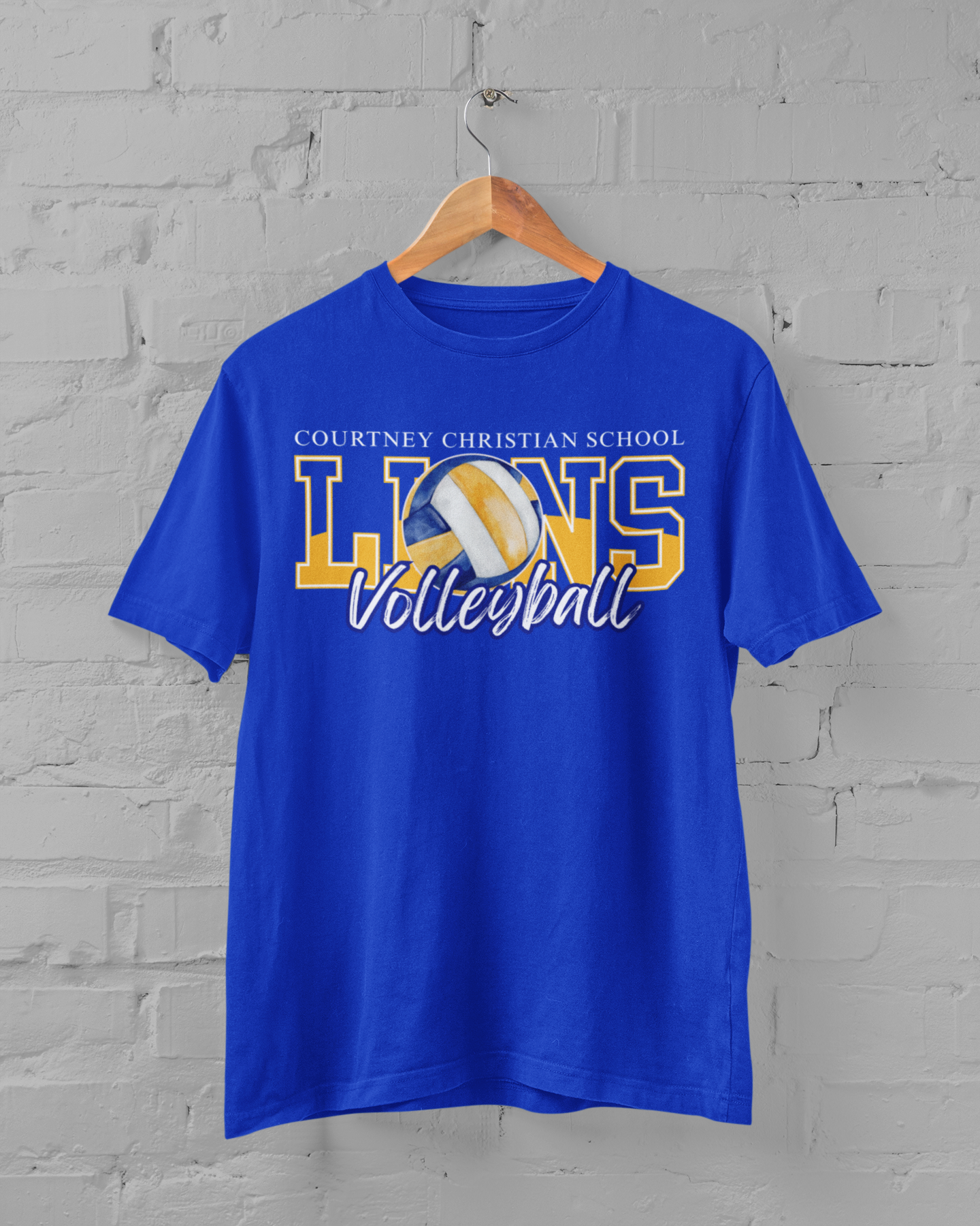 VOLLEYBALL LIONS